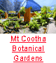 Checkout the Mt. Cootha Botanical Gardens